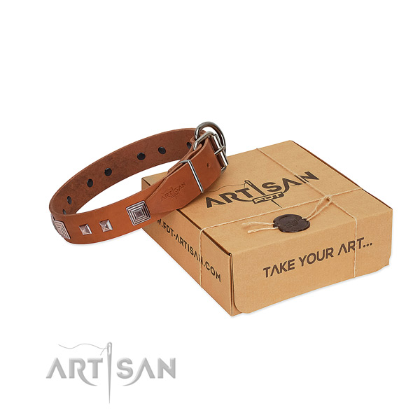 Easy to adjust leather collar with adornments for your doggie
