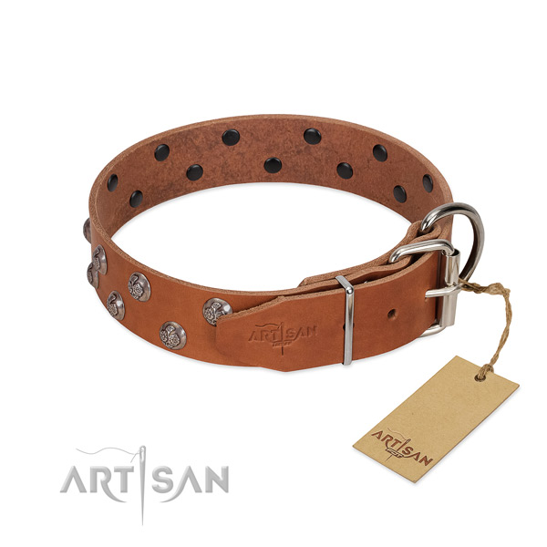 Strong traditional buckle on embellished full grain genuine leather dog collar