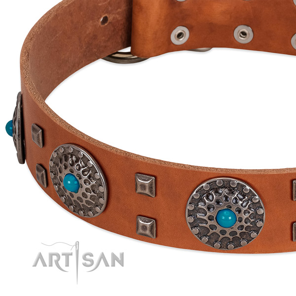 Top notch genuine leather dog collar with incredible studs