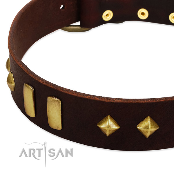 Soft full grain natural leather dog collar with inimitable adornments
