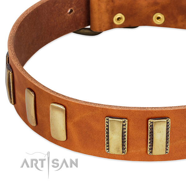 Best quality full grain natural leather dog collar with adornments for walking