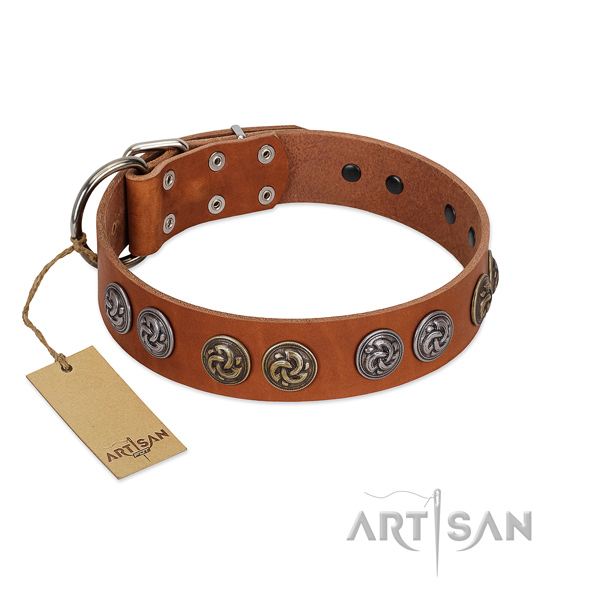 Fancy walking soft genuine leather dog collar with embellishments