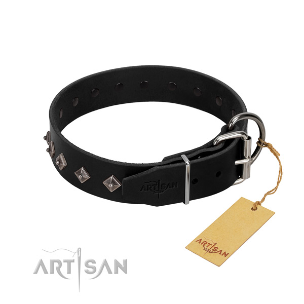 Natural leather dog collar with top notch adornments for your canine