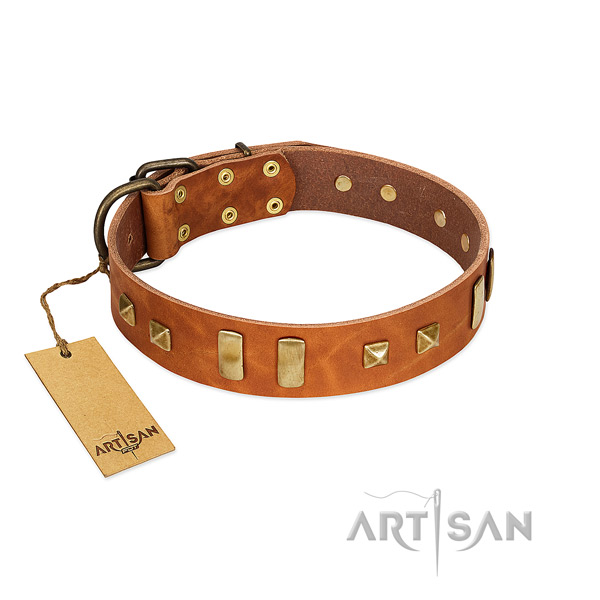 Leather dog collar with corrosion resistant hardware