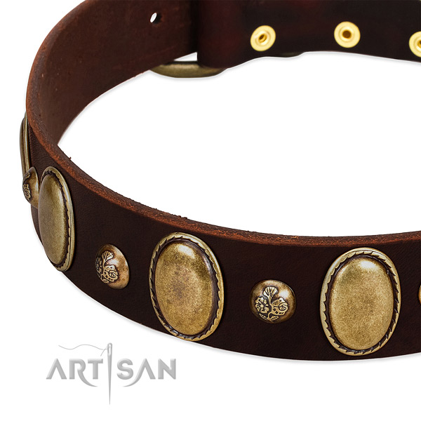 Full grain leather dog collar with stunning embellishments
