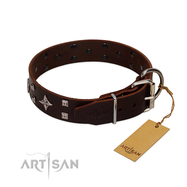 Incredible genuine leather collar for your dog everyday walking