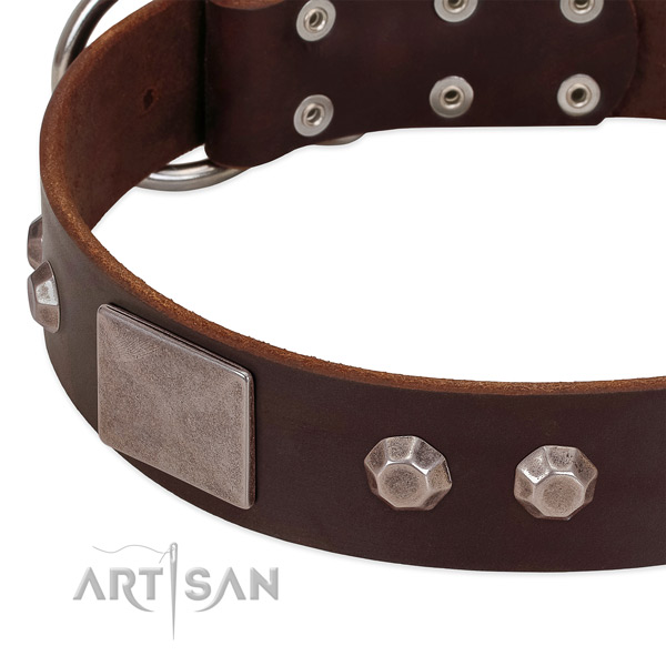 Comfortable wearing quality leather dog collar