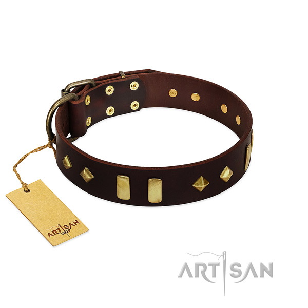 Natural leather dog collar with corrosion proof fittings for handy use