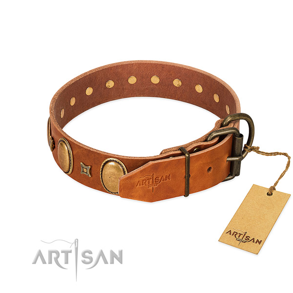 Rust resistant D-ring on easy wearing dog collar