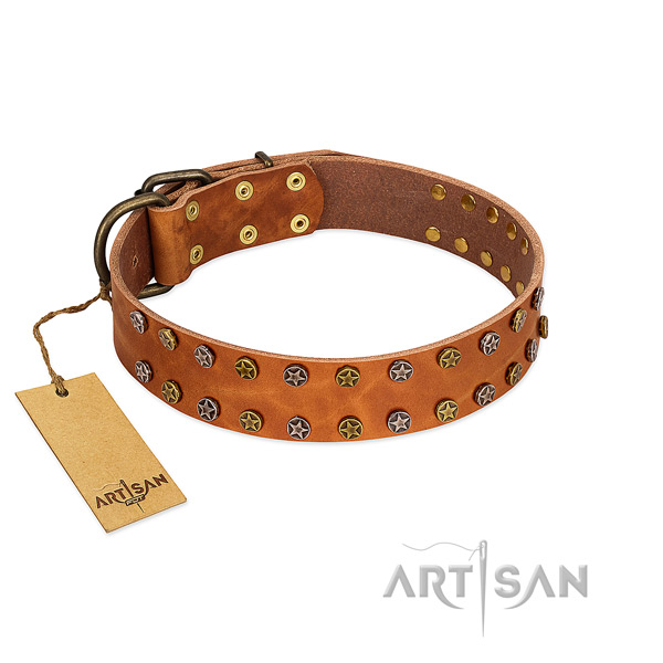 Daily walking best quality leather dog collar with adornments