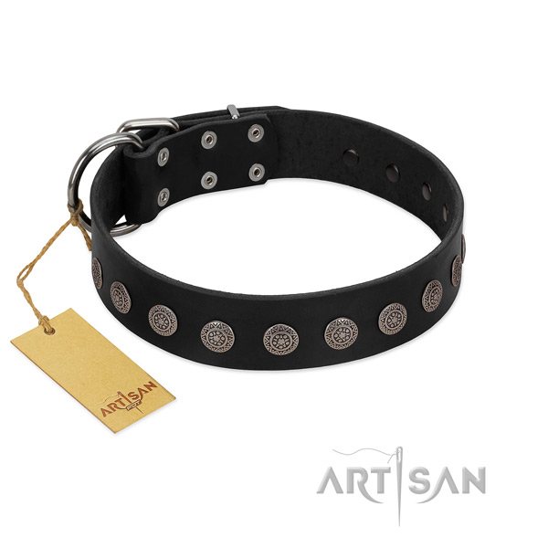 Incredible genuine leather collar for your doggie