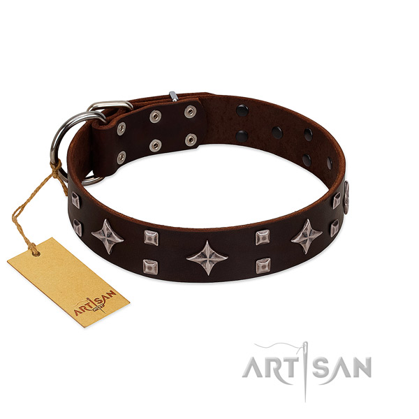 Stunning full grain natural leather collar for your pet stylish walking