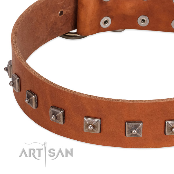 Soft full grain leather dog collar with incredible decorations