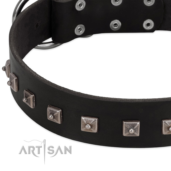 Quality natural leather collar with decorations for your canine