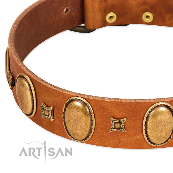 Natural leather dog collar with corrosion proof buckle for everyday walking