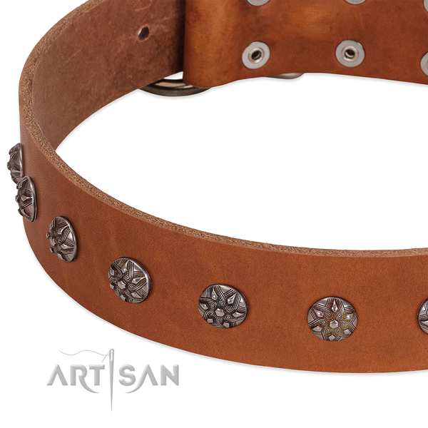 Top rate natural leather dog collar with adornments for your dog