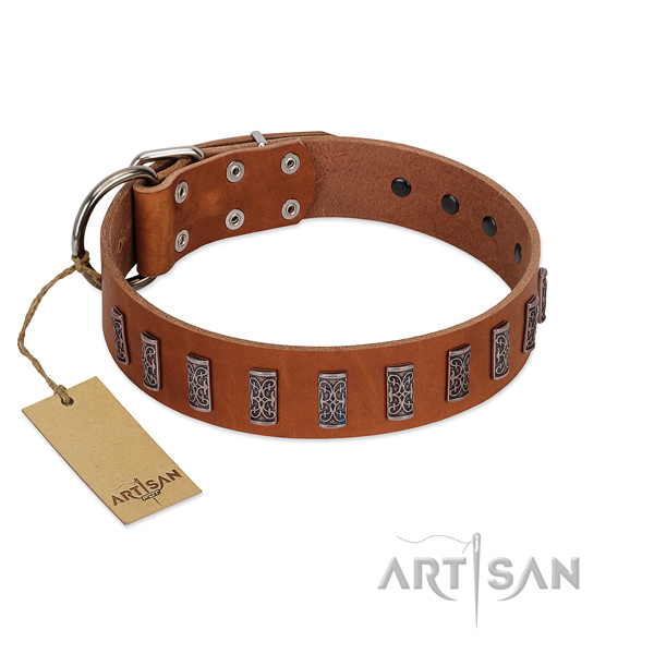 Reliable natural leather dog collar with durable buckle