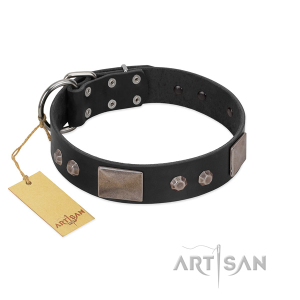 Easy wearing full grain leather dog collar with rust resistant D-ring
