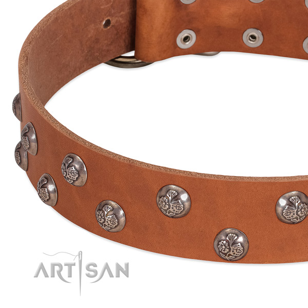 Genuine leather dog collar with reliable fittings and adornments