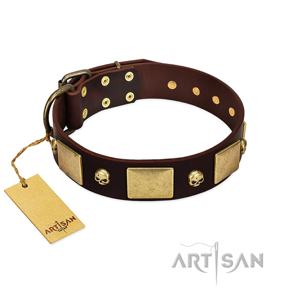 High quality leather dog collar with rust resistant studs