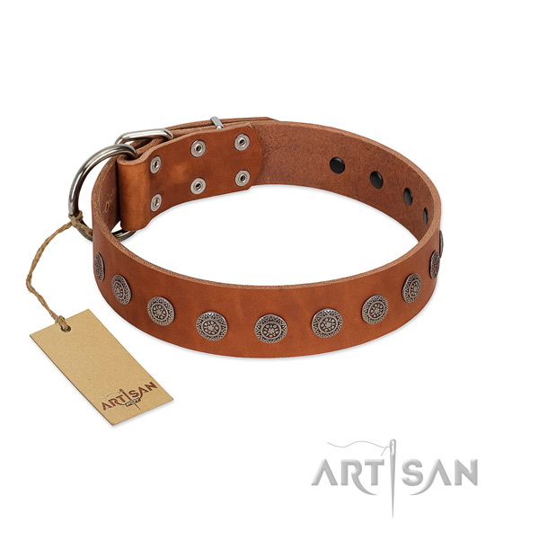 Extraordinary decorations on full grain leather collar for comfortable wearing your four-legged friend