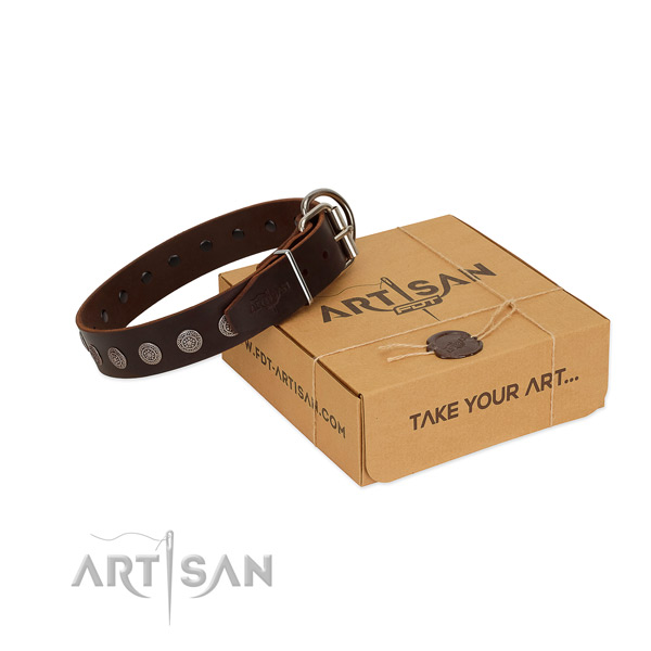 Remarkable adornments on natural leather dog collar for stylish walking