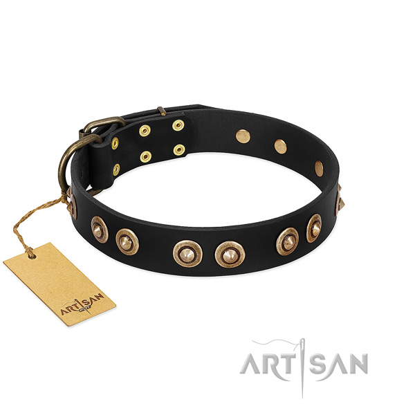 Strong fittings on leather dog collar for your four-legged friend