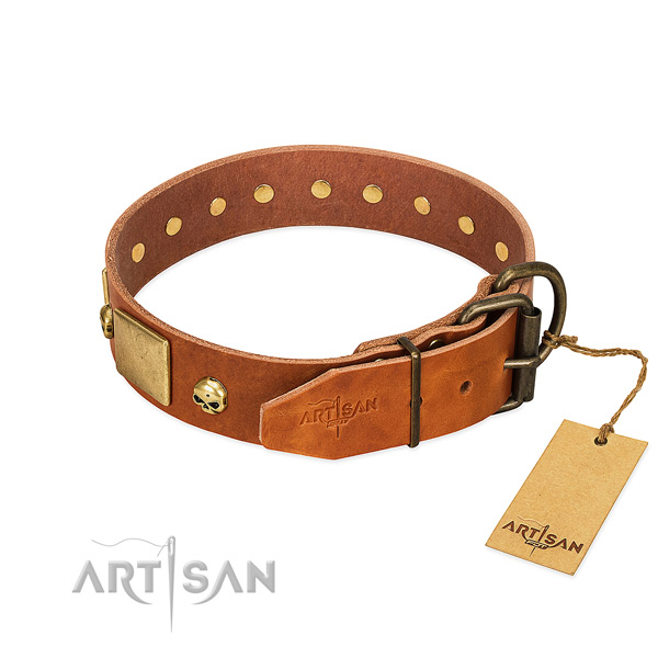 Soft full grain leather dog collar with rust resistant embellishments
