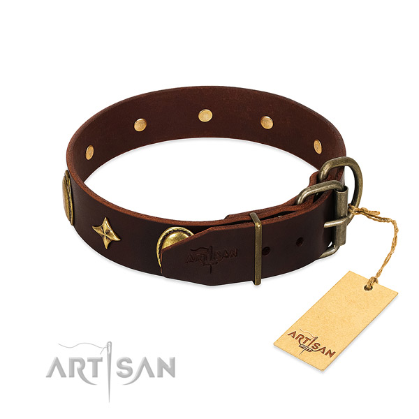 Top notch leather dog collar with corrosion resistant embellishments