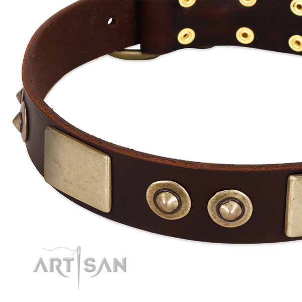 Durable embellishments on full grain natural leather dog collar for your canine