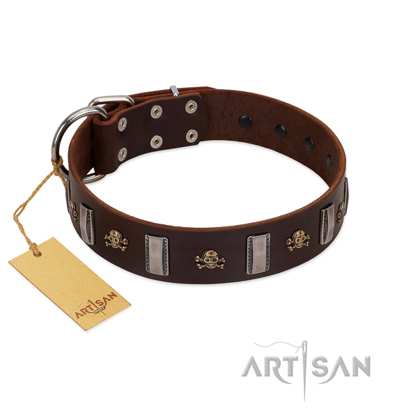 Quality full grain natural leather dog collar for your beautiful doggie