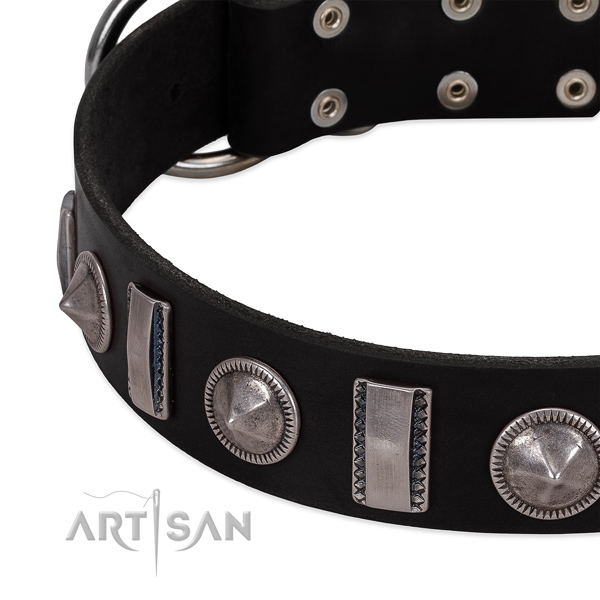 Extraordinary full grain natural leather dog collar with strong studs