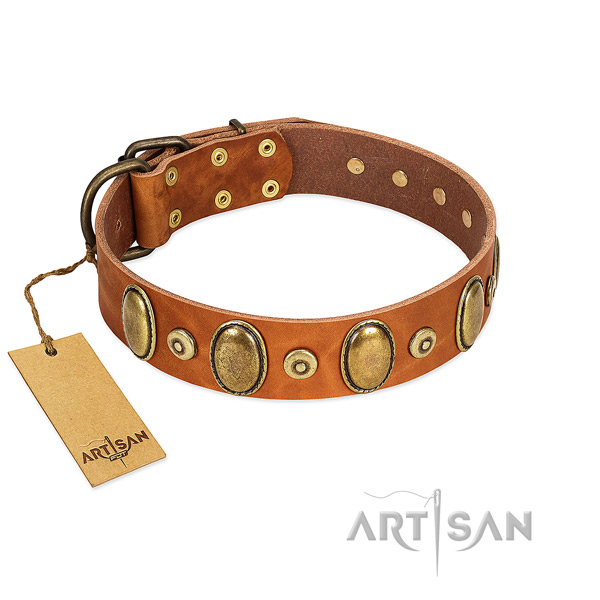 Rust resistant hardware on dog collar for stylish walking