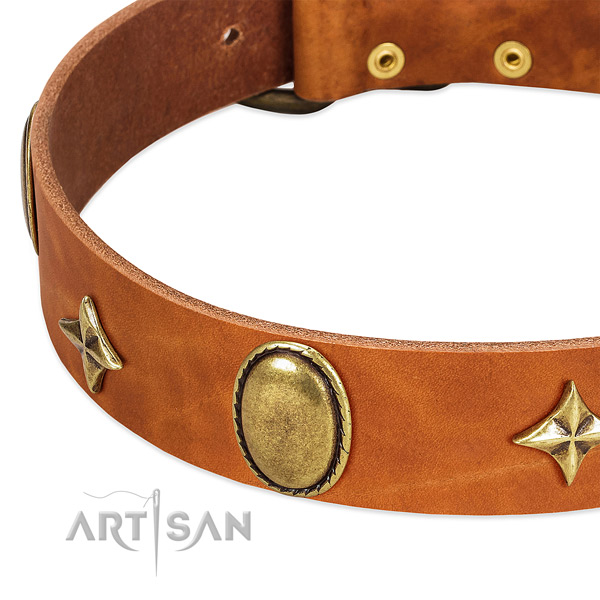 Reliable natural leather dog collar with corrosion resistant buckle