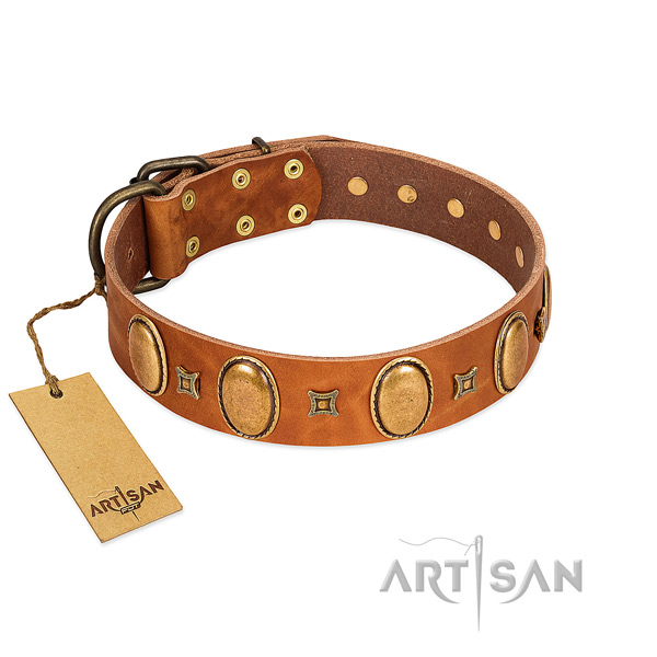 Genuine leather dog collar with stylish embellishments for comfy wearing