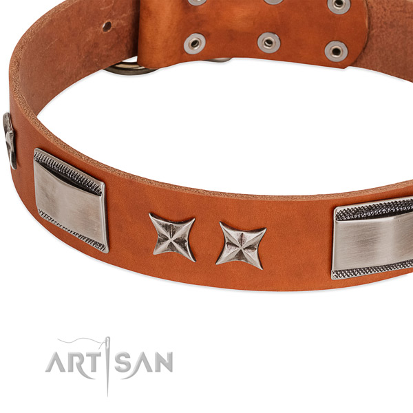 Reliable full grain genuine leather dog collar with rust resistant fittings