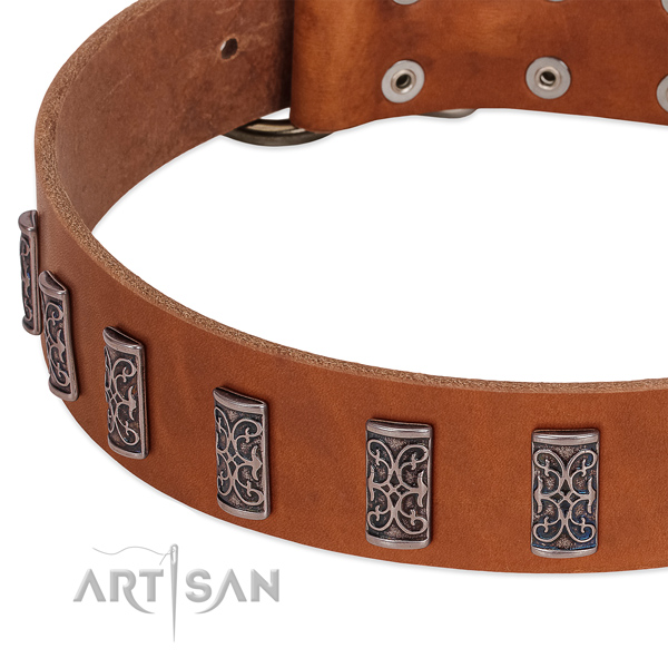 Handcrafted full grain natural leather dog collar with corrosion proof D-ring