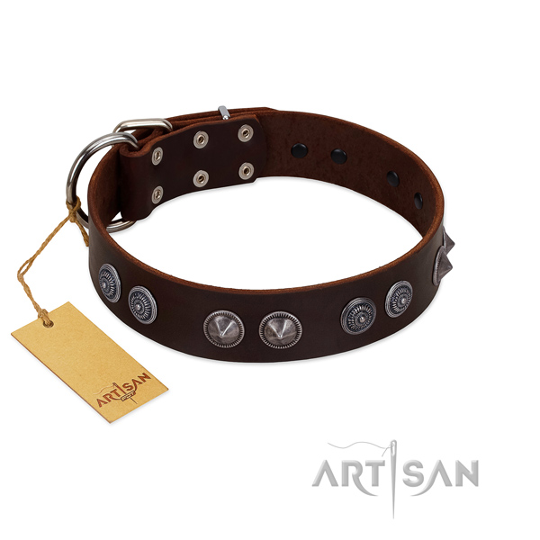 Genuine leather dog collar with top notch studs for your pet