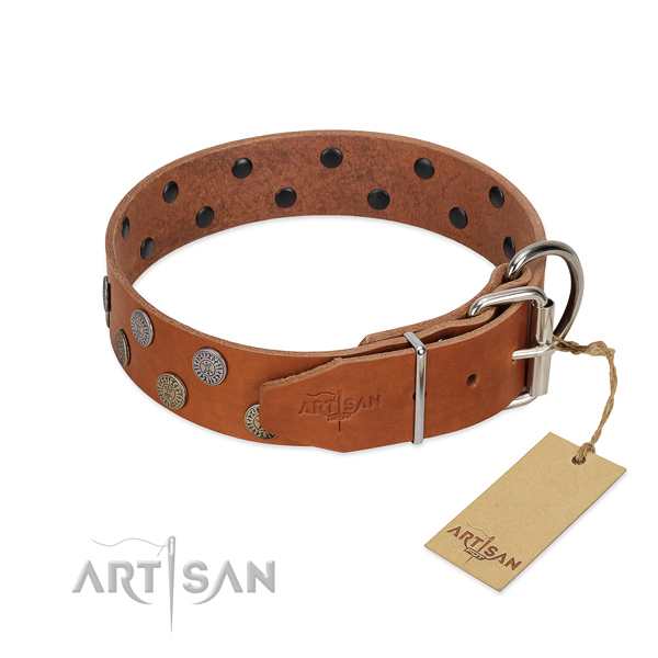 Rust-proof fittings on full grain natural leather dog collar for daily walking