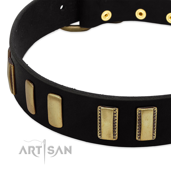 Leather dog collar with durable fittings for everyday walking