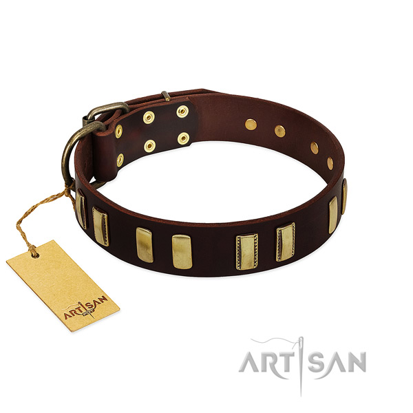 Leather dog collar with reliable D-ring for easy wearing