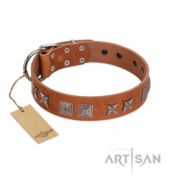 Natural leather dog collar with stylish adornments made four-legged friend