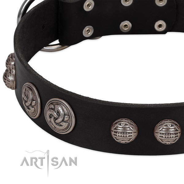 Rust-proof hardware on leather collar for fancy walking your pet