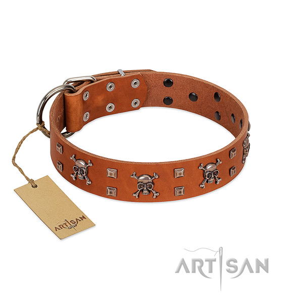 Full grain natural leather dog collar with exquisite studs