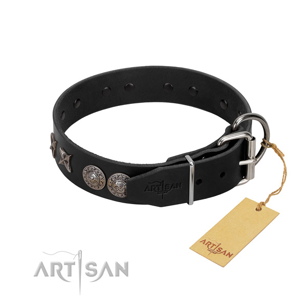 Basic training dog collar of leather with exceptional adornments
