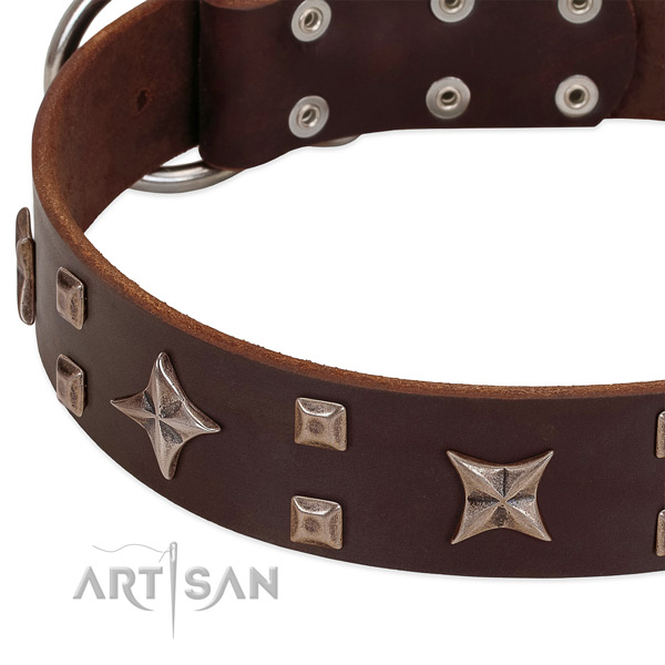 Rust resistant D-ring on full grain natural leather collar for basic training your doggie