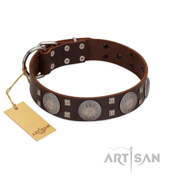 Impressive genuine leather dog collar for walking your doggie