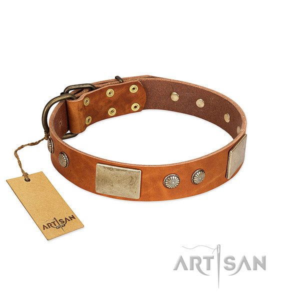 Adjustable leather dog collar for walking your doggie