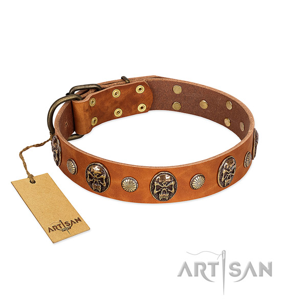 Perfect fit genuine leather dog collar for daily use