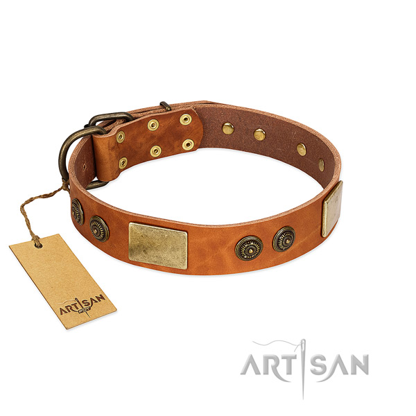 Top notch leather dog collar for daily walking